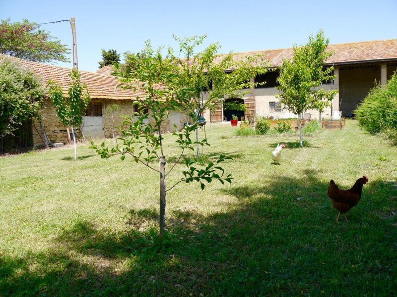 Ferme St Pierre Gite Autonome 2-4 Personnes Bed and Breakfast Chabeuil Eksteriør billede